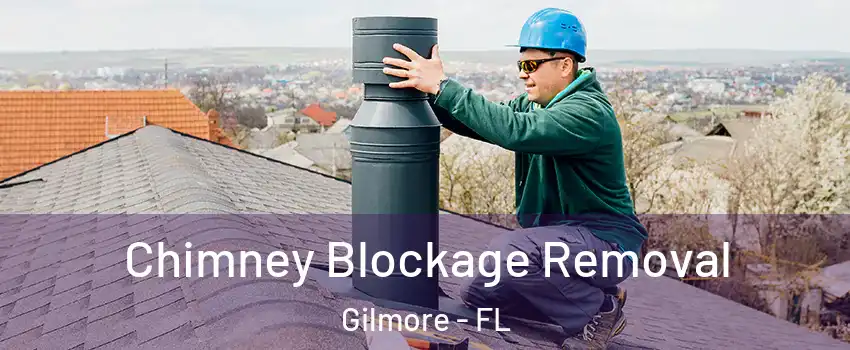 Chimney Blockage Removal Gilmore - FL