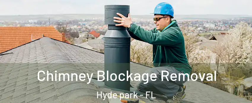 Chimney Blockage Removal Hyde park - FL