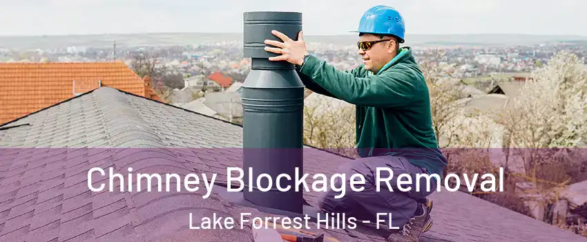 Chimney Blockage Removal Lake Forrest Hills - FL