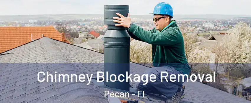 Chimney Blockage Removal Pecan - FL