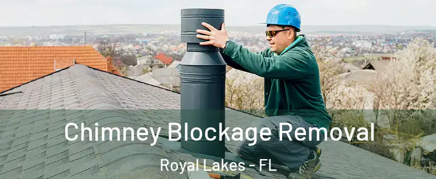 Chimney Blockage Removal Royal Lakes - FL