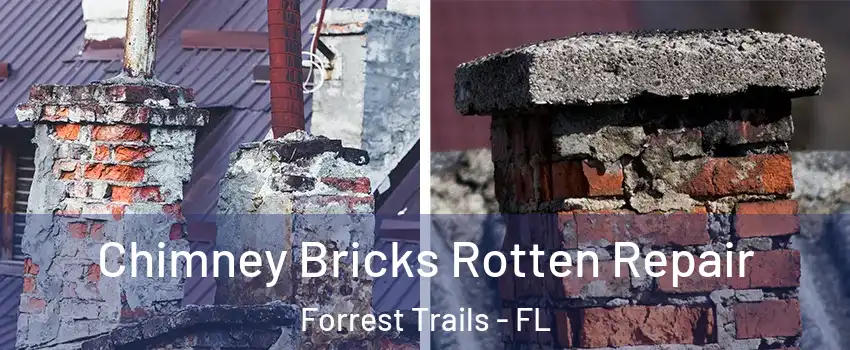 Chimney Bricks Rotten Repair Forrest Trails - FL