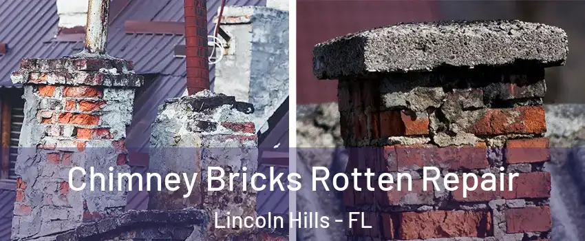 Chimney Bricks Rotten Repair Lincoln Hills - FL