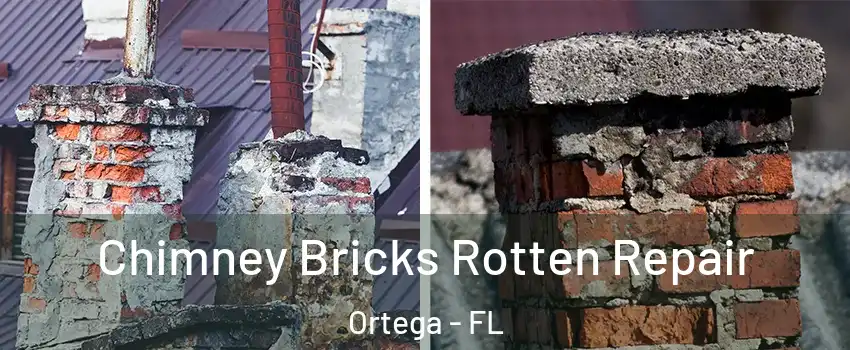 Chimney Bricks Rotten Repair Ortega - FL