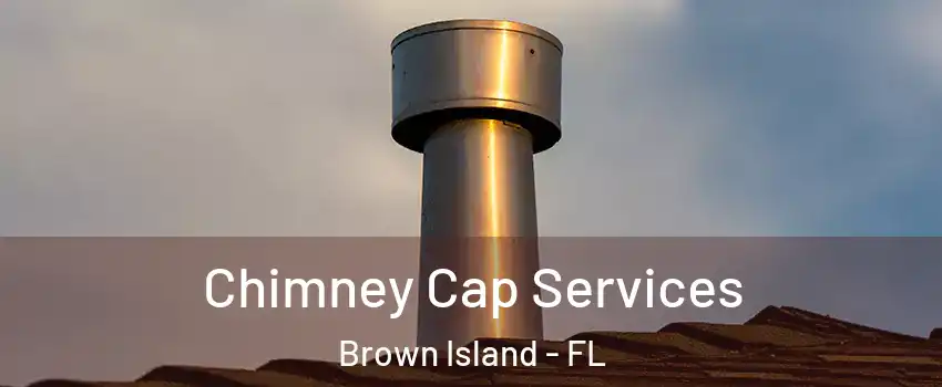 Chimney Cap Services Brown Island - FL