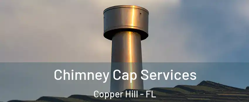 Chimney Cap Services Copper Hill - FL