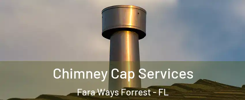 Chimney Cap Services Fara Ways Forrest - FL