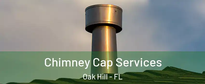 Chimney Cap Services Oak Hill - FL