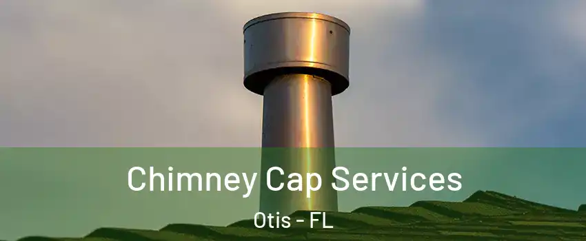 Chimney Cap Services Otis - FL