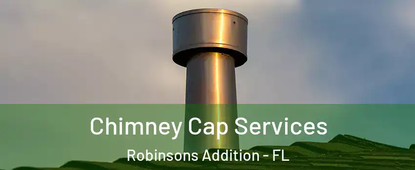 Chimney Cap Services Robinsons Addition - FL