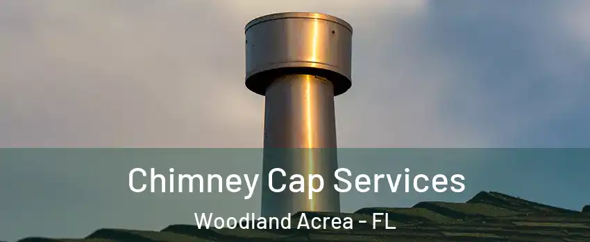 Chimney Cap Services Woodland Acrea - FL