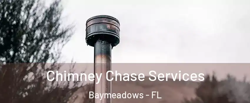 Chimney Chase Services Baymeadows - FL