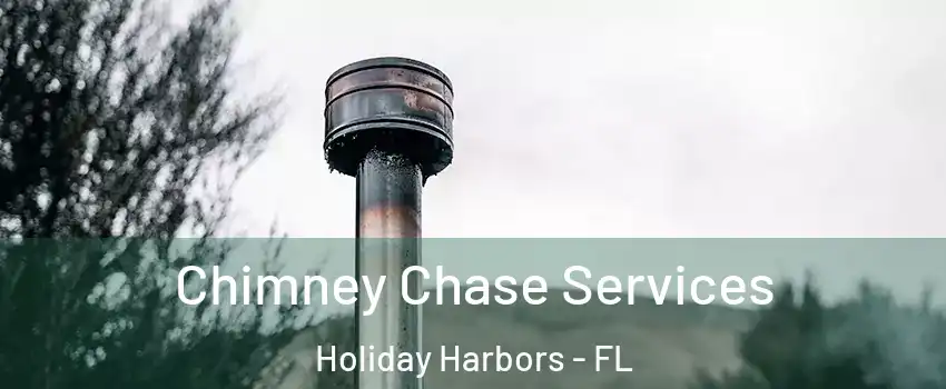 Chimney Chase Services Holiday Harbors - FL