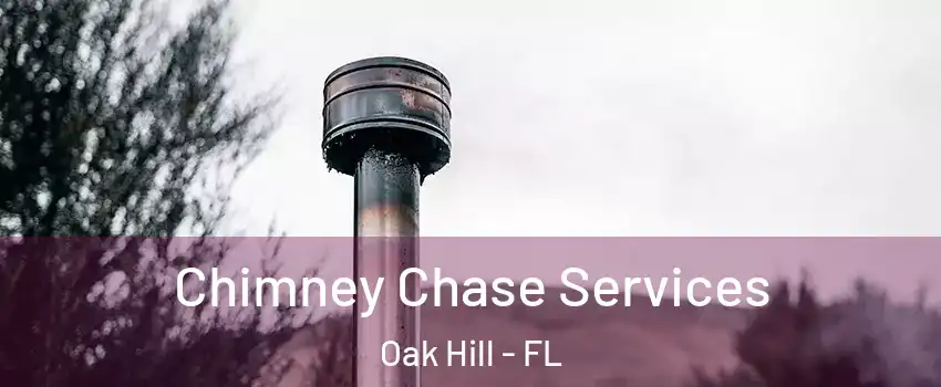 Chimney Chase Services Oak Hill - FL