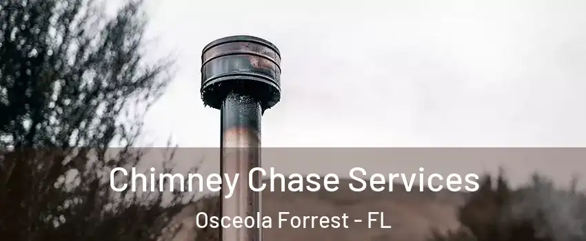 Chimney Chase Services Osceola Forrest - FL