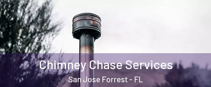 Chimney Chase Services San Jose Forrest - FL