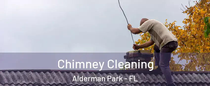 Chimney Cleaning Alderman Park - FL