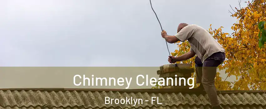 Chimney Cleaning Brooklyn - FL