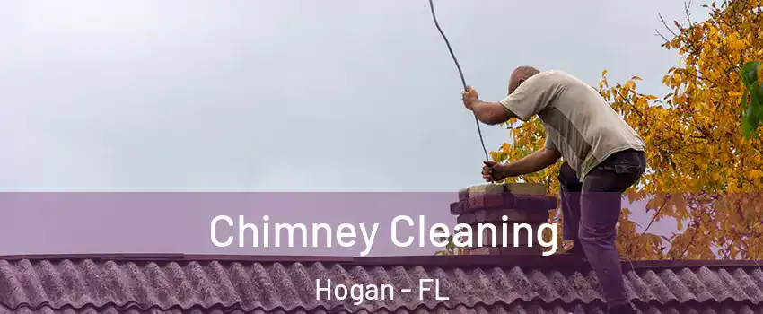 Chimney Cleaning Hogan - FL