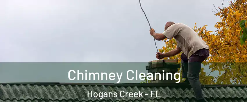 Chimney Cleaning Hogans Creek - FL