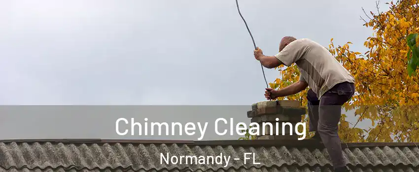 Chimney Cleaning Normandy - FL