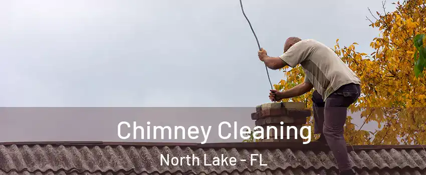 Chimney Cleaning North Lake - FL