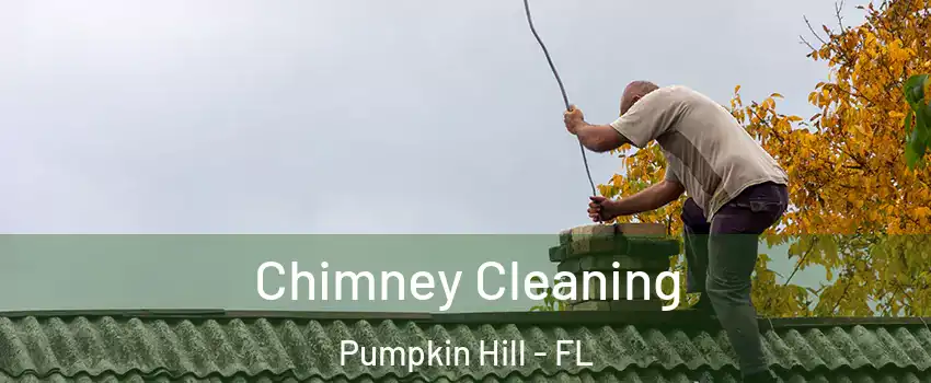 Chimney Cleaning Pumpkin Hill - FL