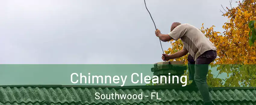 Chimney Cleaning Southwood - FL