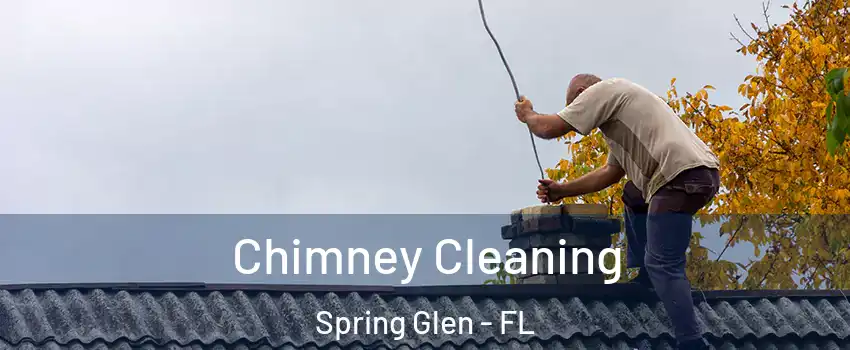 Chimney Cleaning Spring Glen - FL