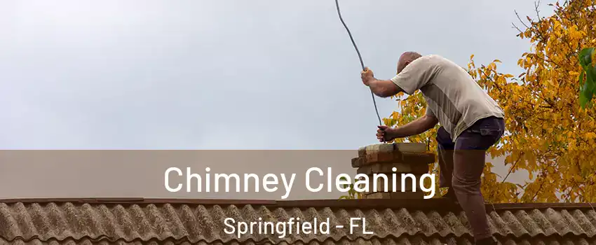 Chimney Cleaning Springfield - FL