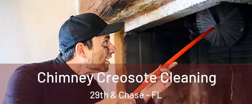 Chimney Creosote Cleaning 29th & Chase - FL