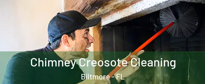 Chimney Creosote Cleaning Biltmore - FL