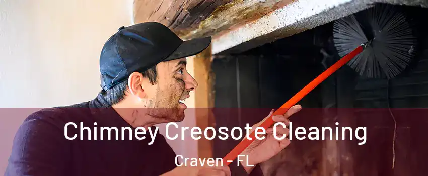 Chimney Creosote Cleaning Craven - FL