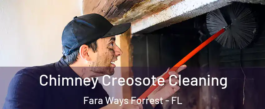 Chimney Creosote Cleaning Fara Ways Forrest - FL