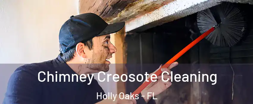 Chimney Creosote Cleaning Holly Oaks - FL