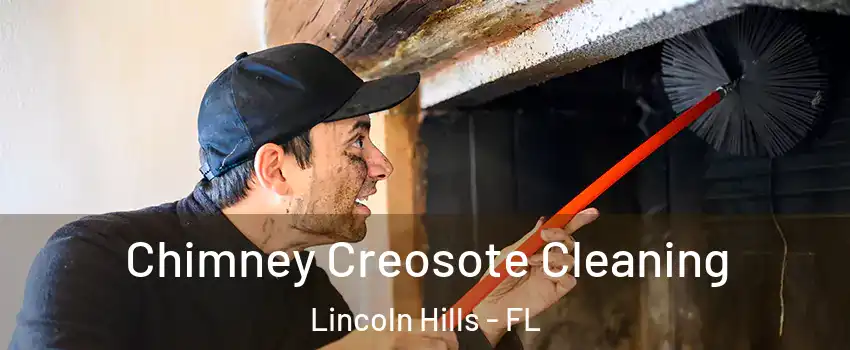 Chimney Creosote Cleaning Lincoln Hills - FL