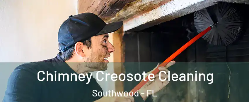 Chimney Creosote Cleaning Southwood - FL