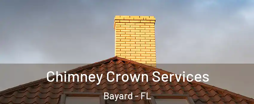 Chimney Crown Services Bayard - FL