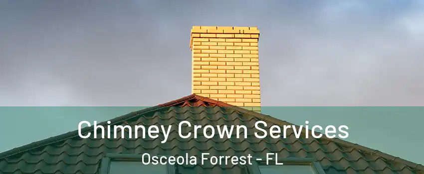 Chimney Crown Services Osceola Forrest - FL