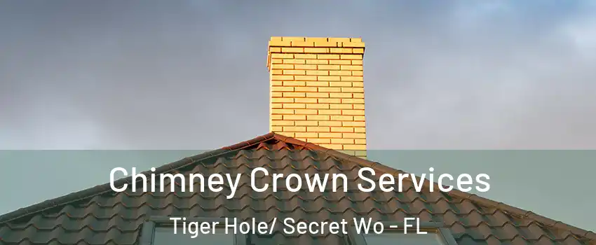 Chimney Crown Services Tiger Hole/ Secret Wo - FL