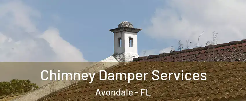 Chimney Damper Services Avondale - FL