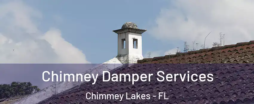 Chimney Damper Services Chimmey Lakes - FL