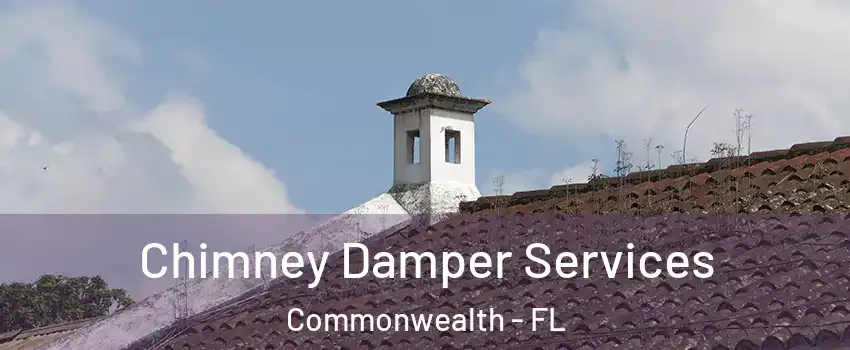 Chimney Damper Services Commonwealth - FL