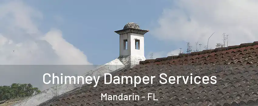 Chimney Damper Services Mandarin - FL