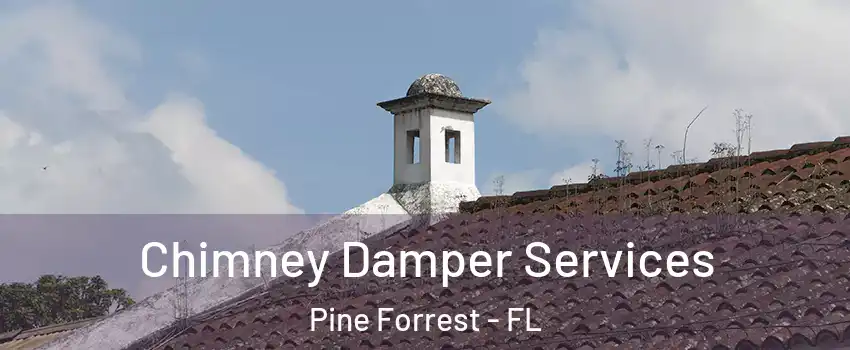 Chimney Damper Services Pine Forrest - FL