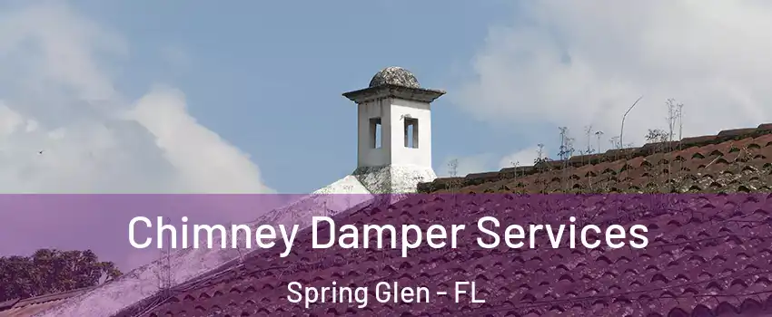 Chimney Damper Services Spring Glen - FL