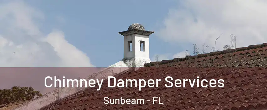 Chimney Damper Services Sunbeam - FL