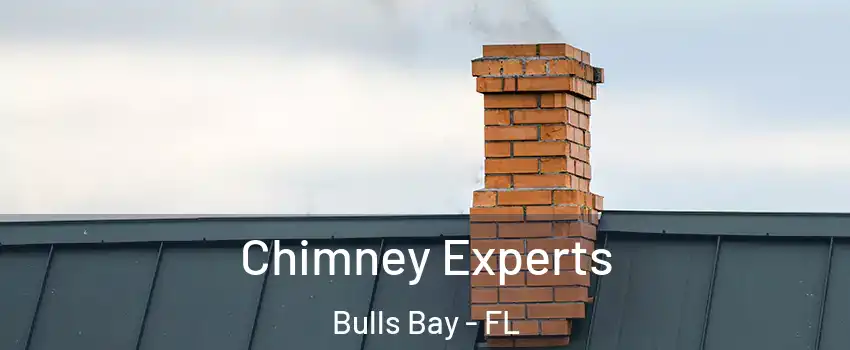 Chimney Experts Bulls Bay - FL