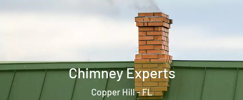 Chimney Experts Copper Hill - FL