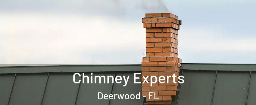 Chimney Experts Deerwood - FL